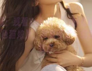 作品推荐：观看Yuka(유카)的《Bimilstory–粉色猫娘》，尽享可爱与创意的完美结合