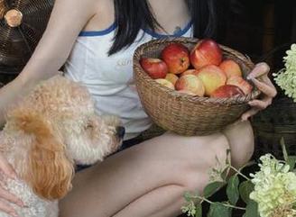 beautyleg – Stephy的皮衣写真图包，观看她如何与经典时尚完美结合！