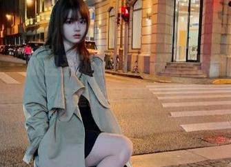 pans – 狐狸圣诞主题：无圣光套图，让你重拾真实之美