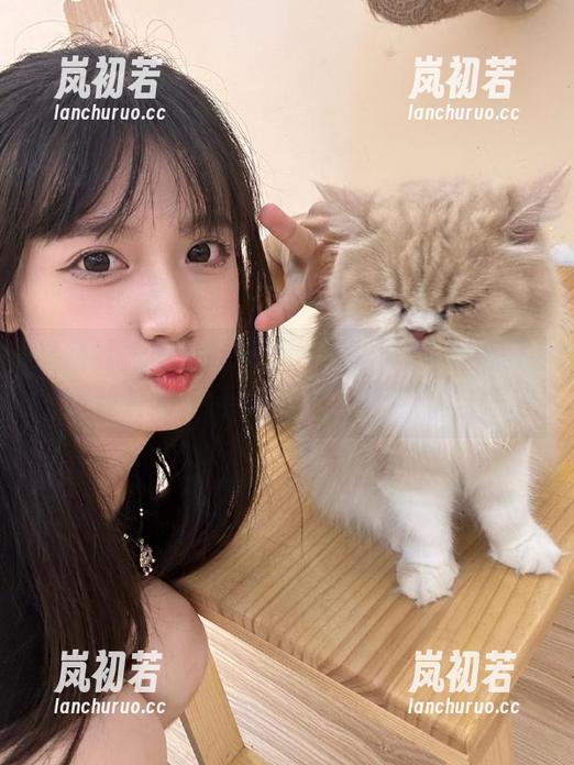 星颜社-Emily尹菲 星颜社 - Emily尹菲镂空写真精选合集:每张照片的背后都有她的独特视角与思考
