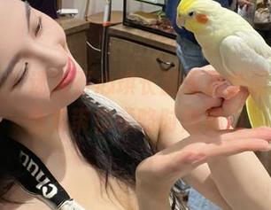 爱蜜社 – 迷人石心琪长腿写真套图，高清合集带你领略时尚魅力