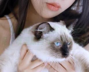 微密圈 – 让我们一起欣赏粉色的猪陈佩奇美足：唯美原图与精致壁纸收藏